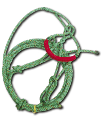caballocatalogo-38