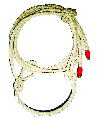 caballocatalogo-44