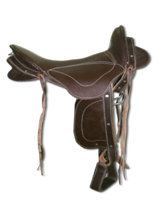 caballocatalogo-67