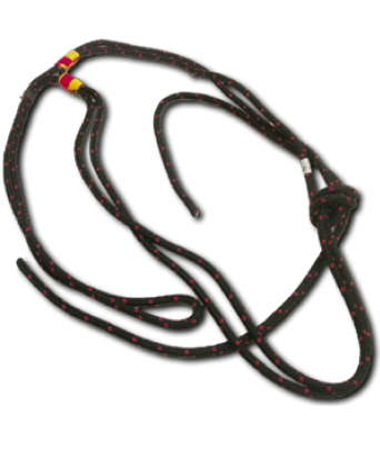 caballocatalogo-73