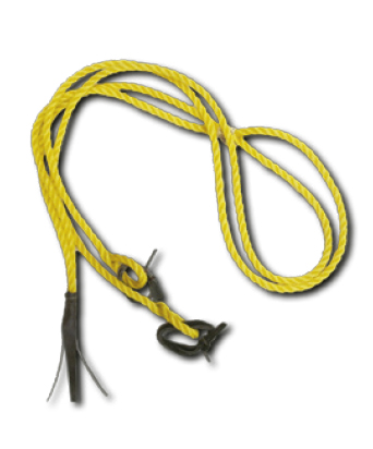 caballocatalogo-76