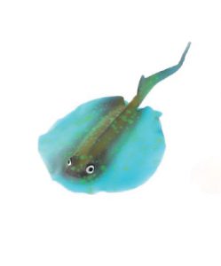 adorno-pecera-cod-27466