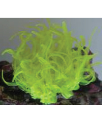anemola-flexible-cod-27059-sh132my