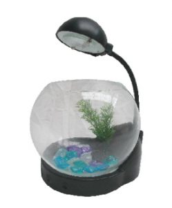 pecera-cod-1042