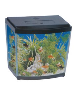 pecera-cod-1044