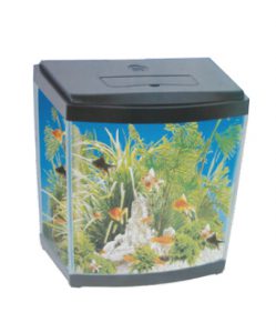 pecera-cod-1046