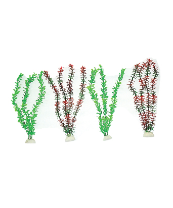 planta-acuatica-cod-27209
