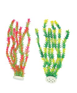 planta-acuatica-cod-27537